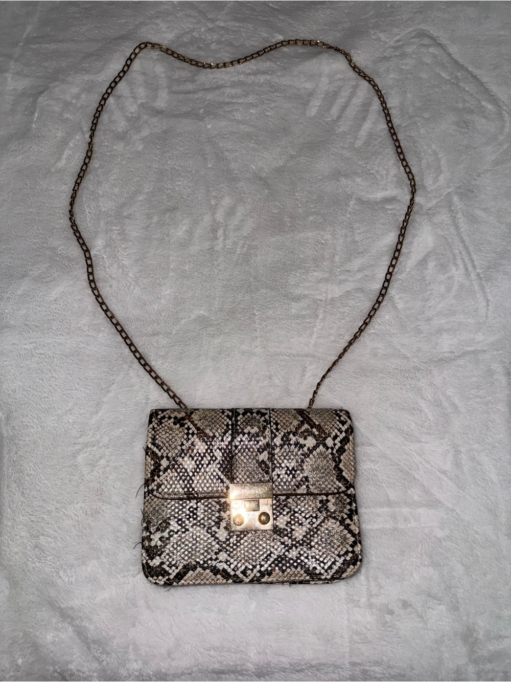 Snake-Print Crossbody with Gold Chain Strap